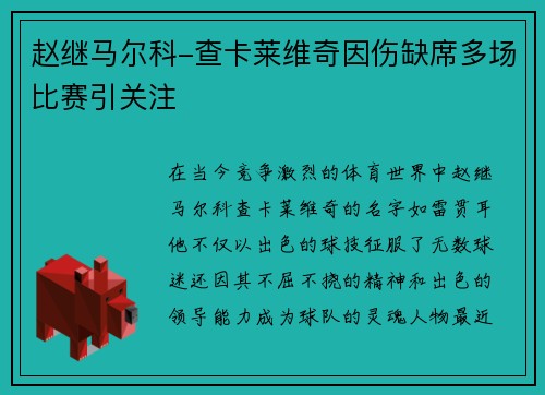 赵继马尔科-查卡莱维奇因伤缺席多场比赛引关注