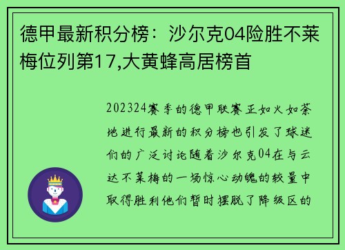 德甲最新积分榜：沙尔克04险胜不莱梅位列第17,大黄蜂高居榜首