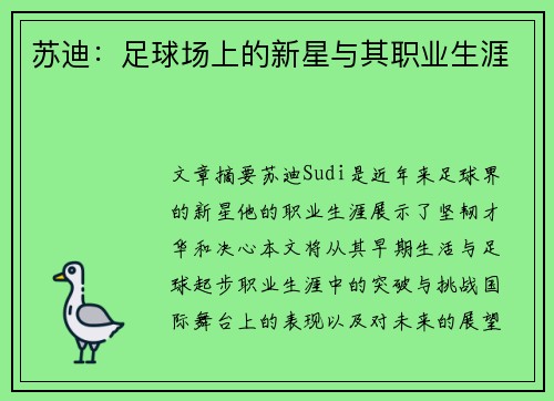 苏迪：足球场上的新星与其职业生涯