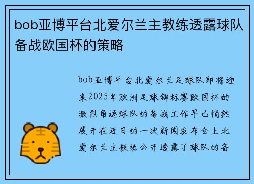 bob亚博平台北爱尔兰主教练透露球队备战欧国杯的策略