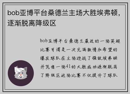 bob亚博平台桑德兰主场大胜埃弗顿，逐渐脱离降级区
