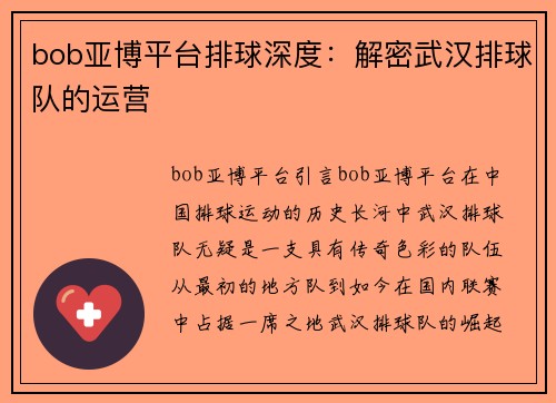 bob亚博平台排球深度：解密武汉排球队的运营