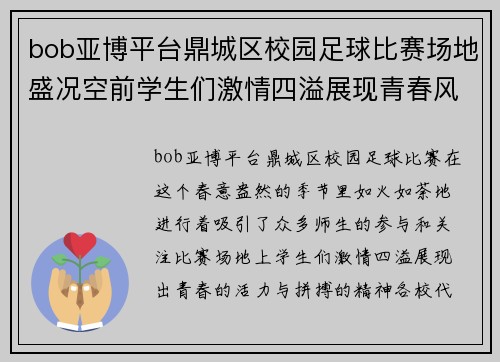 bob亚博平台鼎城区校园足球比赛场地盛况空前学生们激情四溢展现青春风采